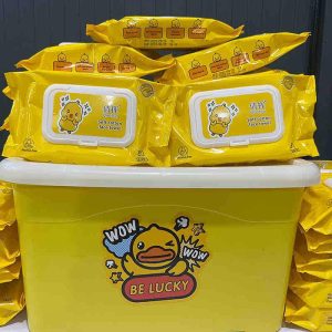 10 wipes + bucket